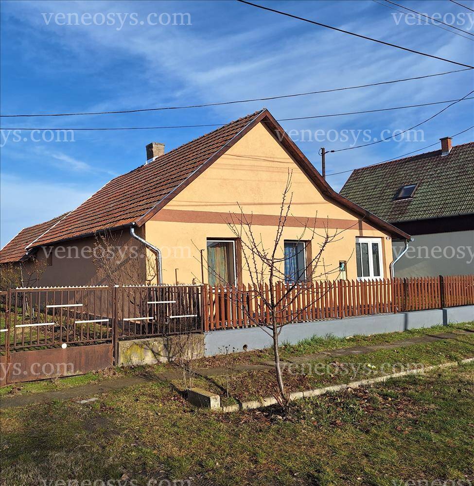 Kép 7