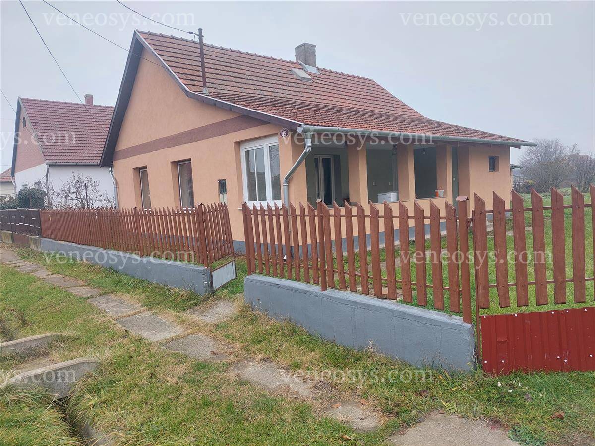 Kép 8