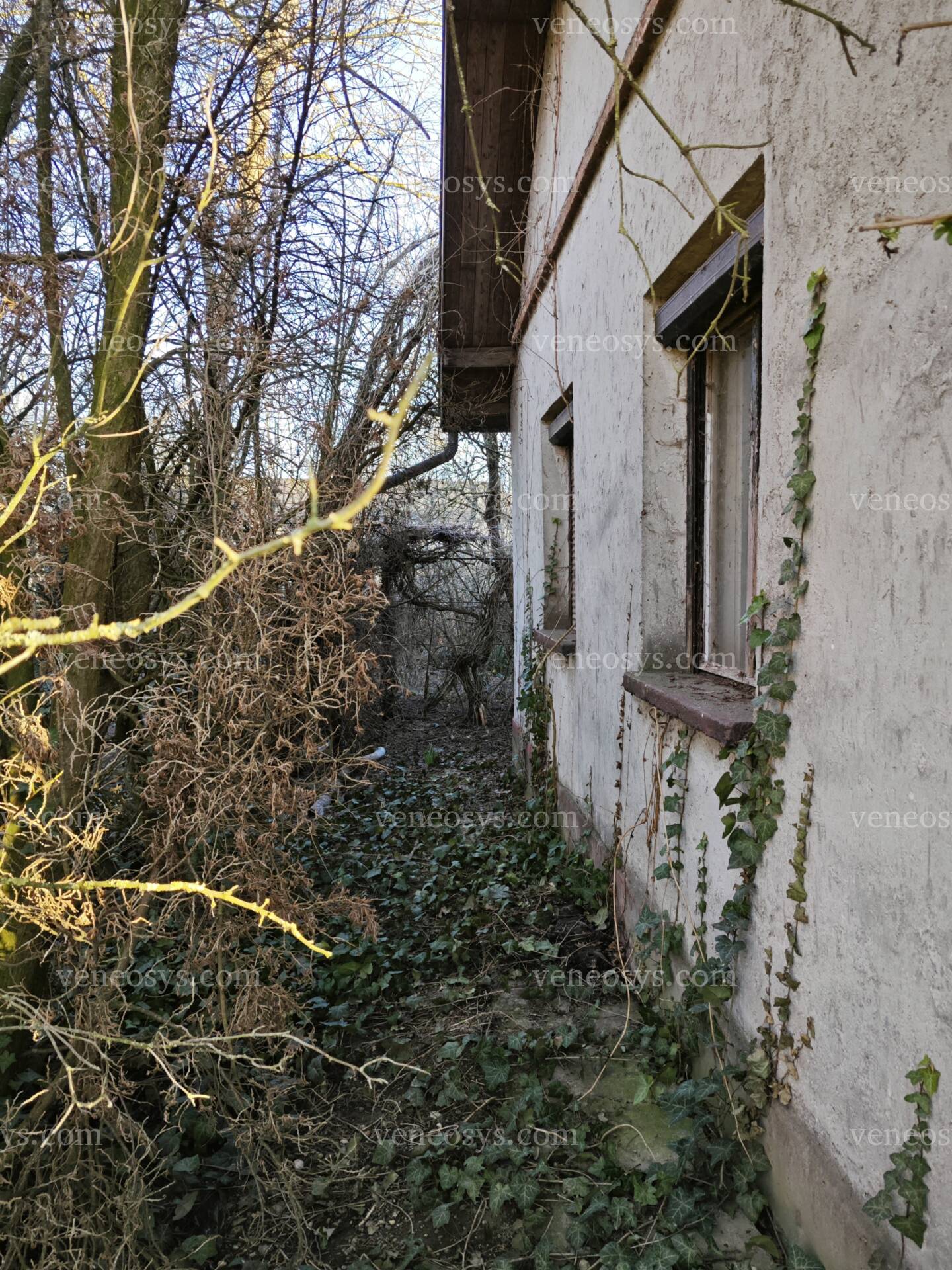 Kép 7