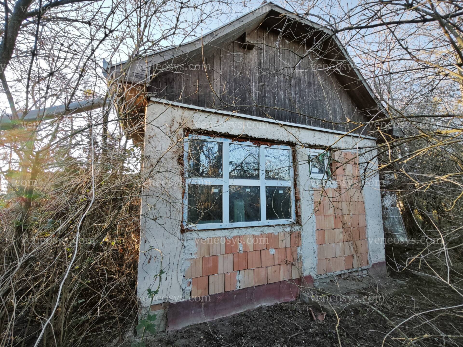 Kép 6