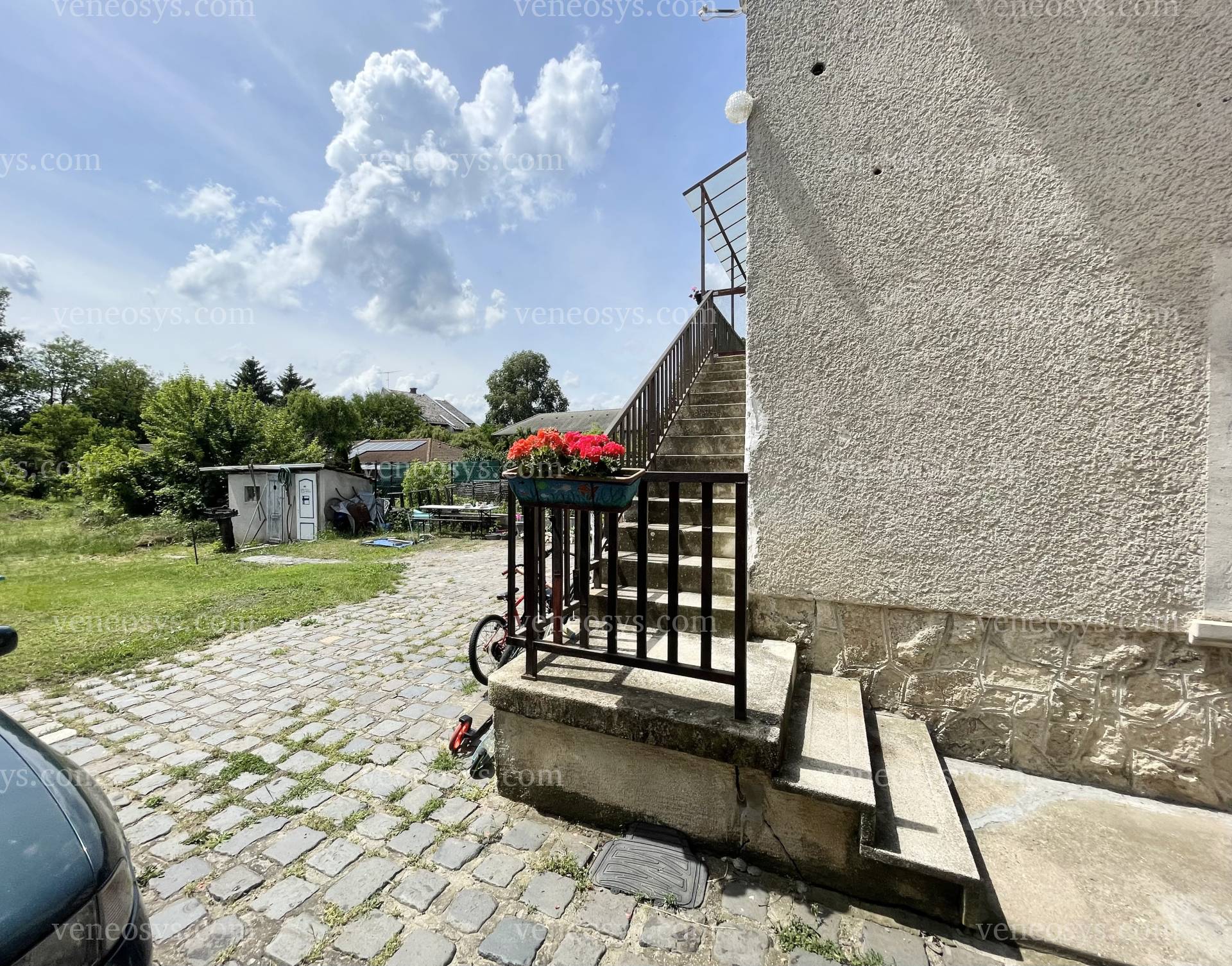 Kép 5
