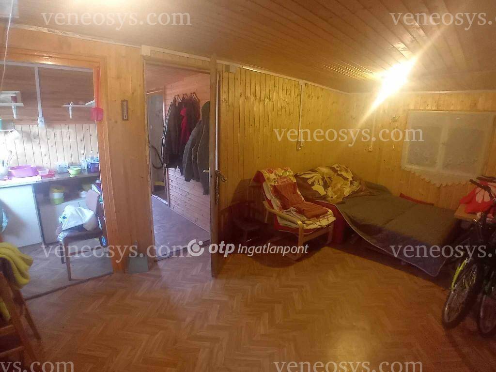 Kép 7