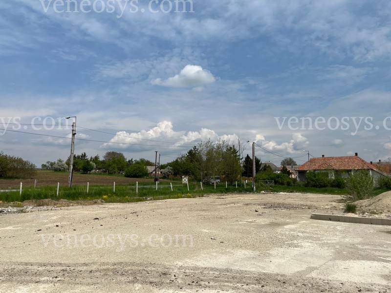 Kép 6