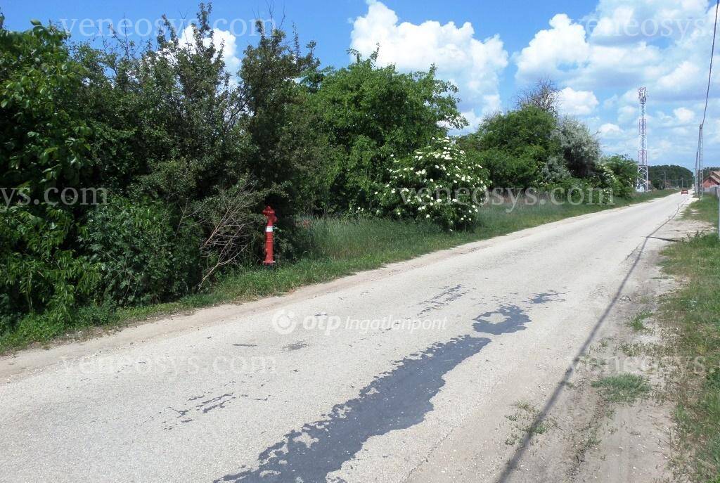 Kép 7
