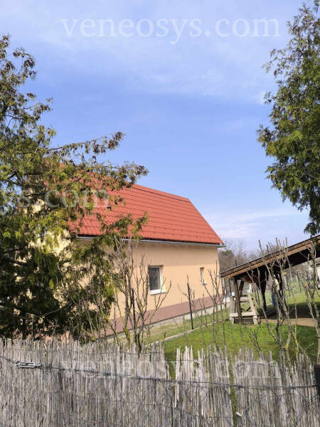 Kép 6