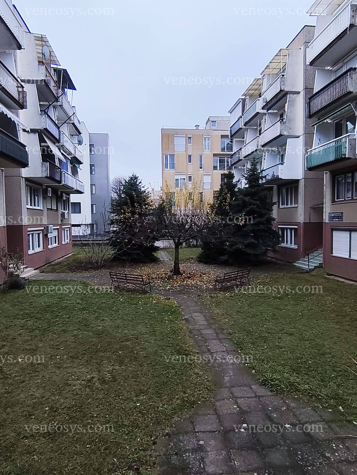 Kép 7