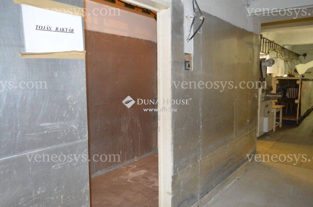 Kép 7
