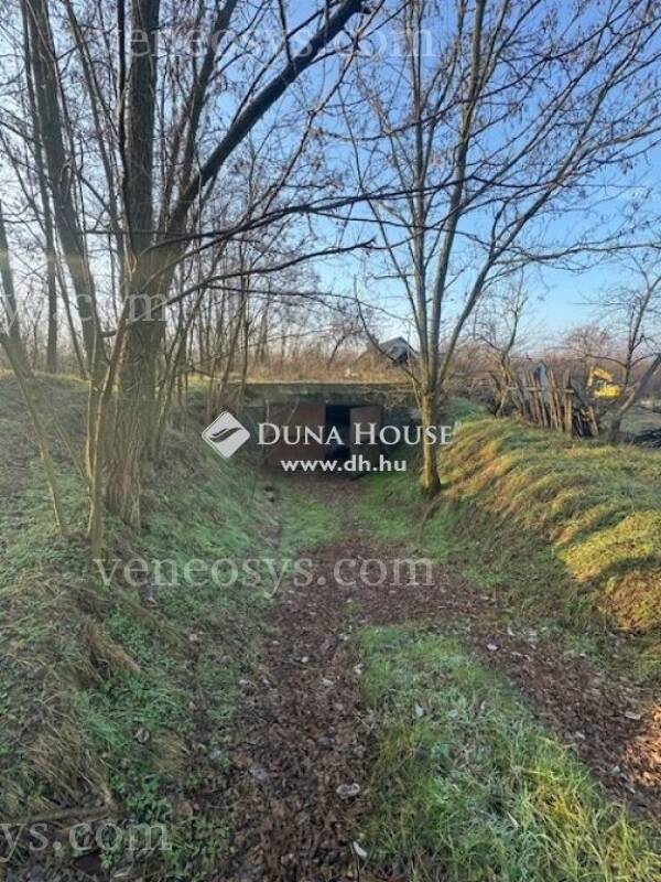 Kép 16