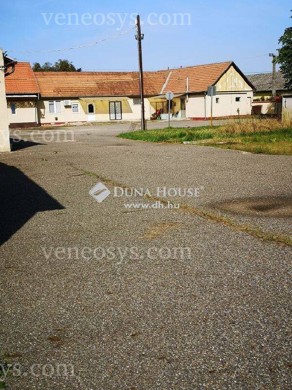 Gávavencsellő