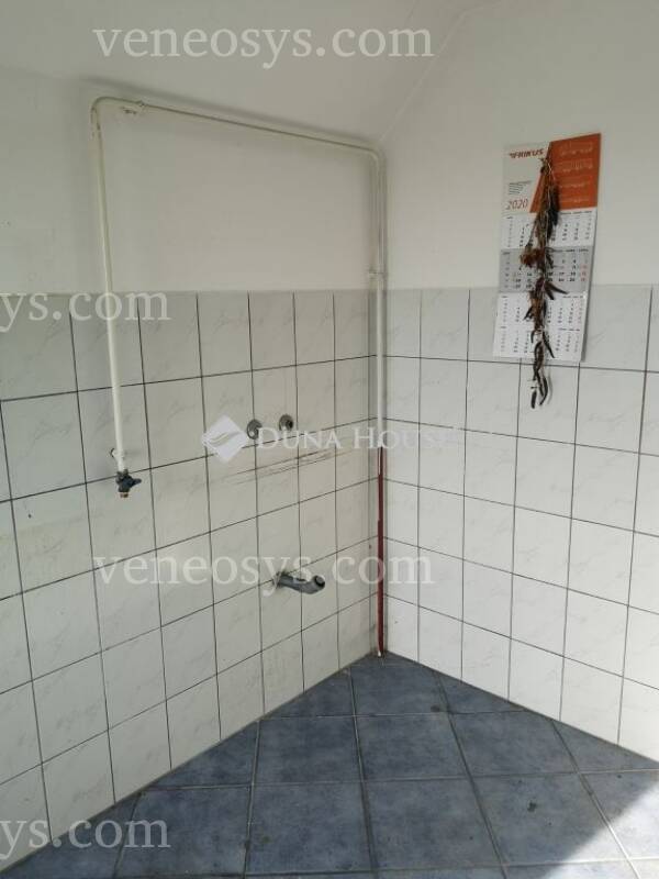 Kép 10