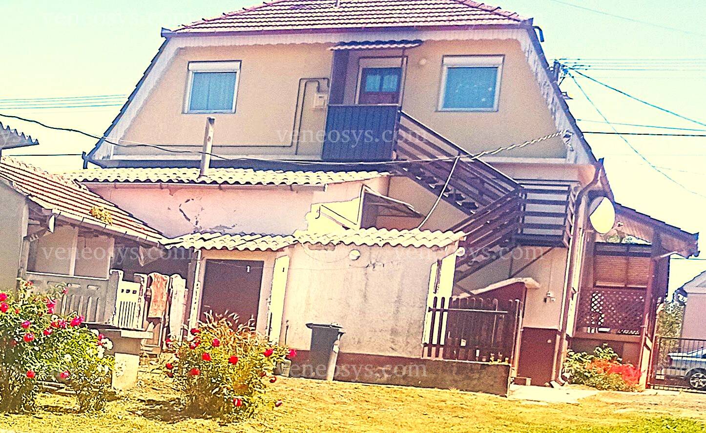 Kép 12