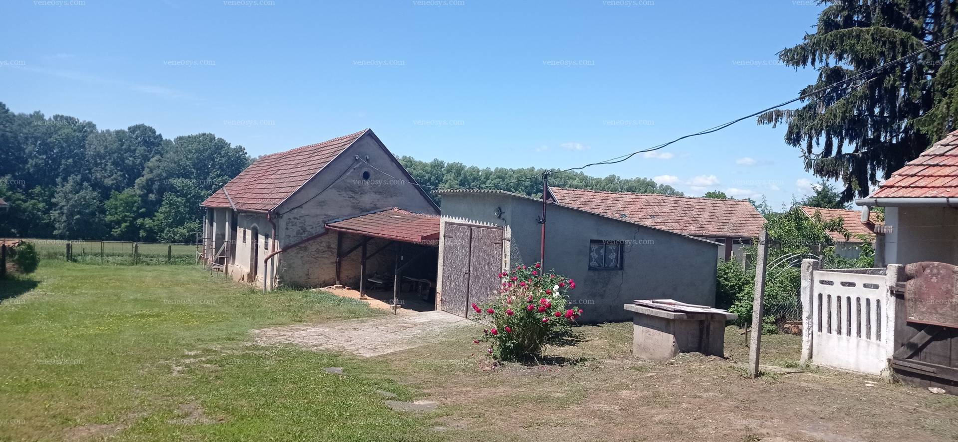 Kép 31