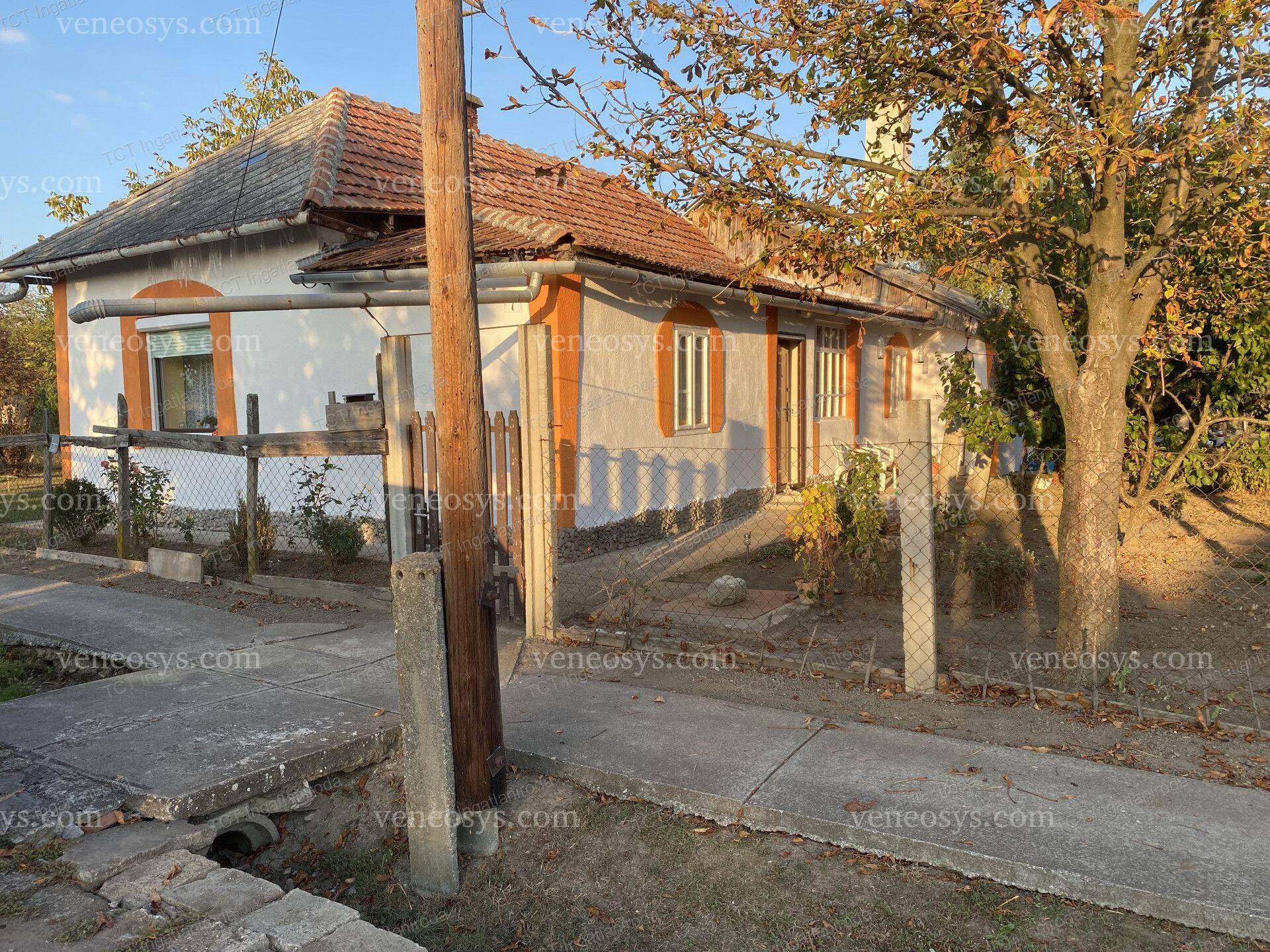 Kép 8
