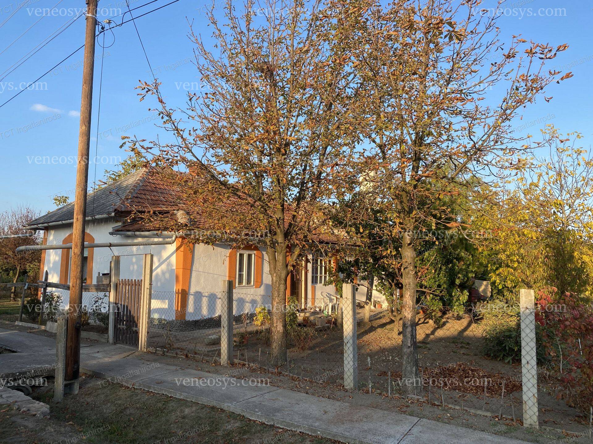 Kép 10