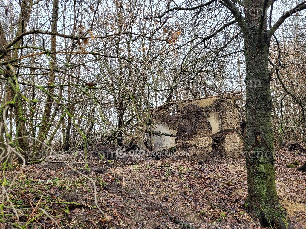 Kép 4