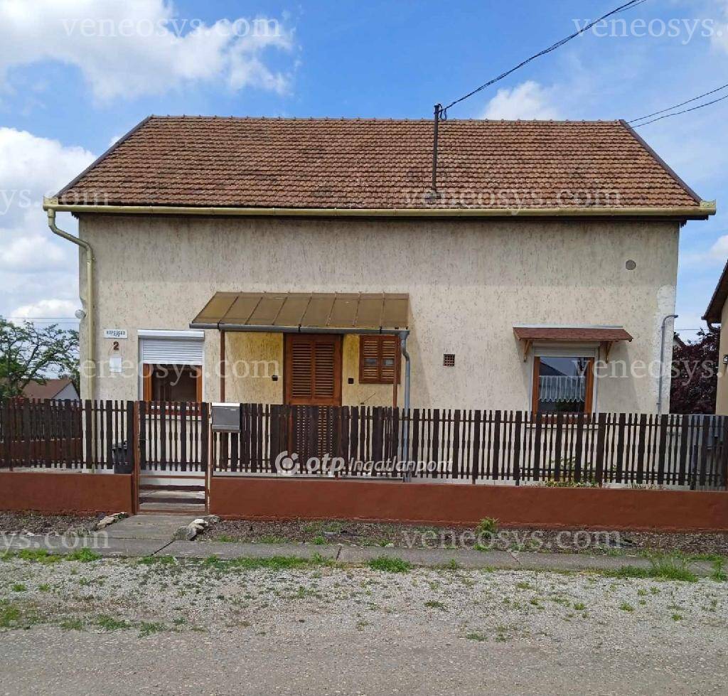 Kép 8
