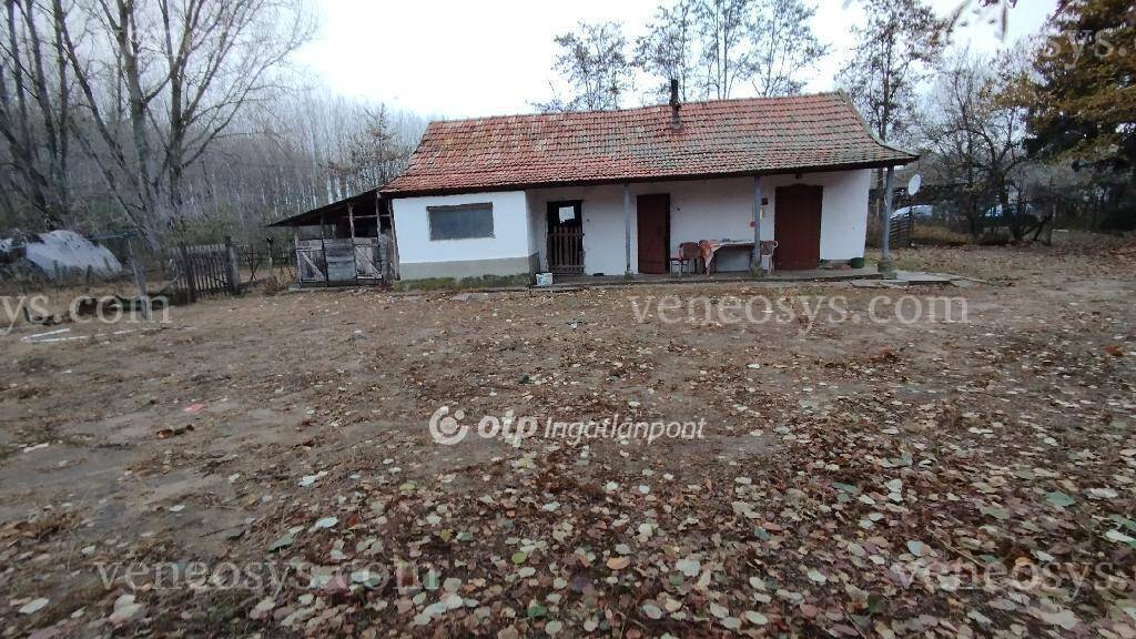 Kép 17