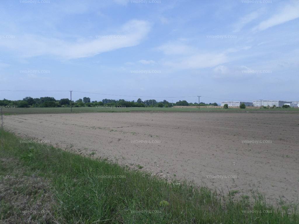 Kép 6