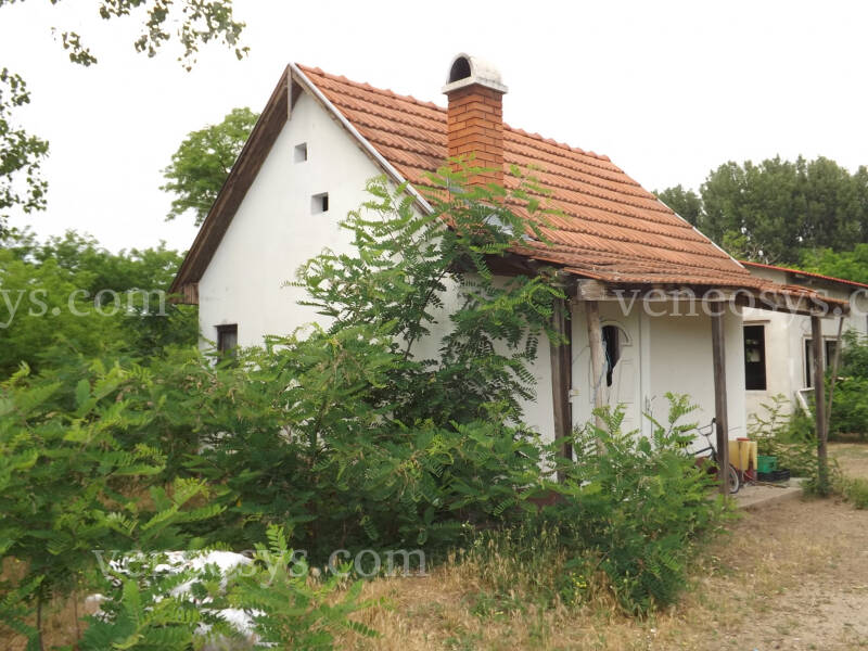 Kép 5