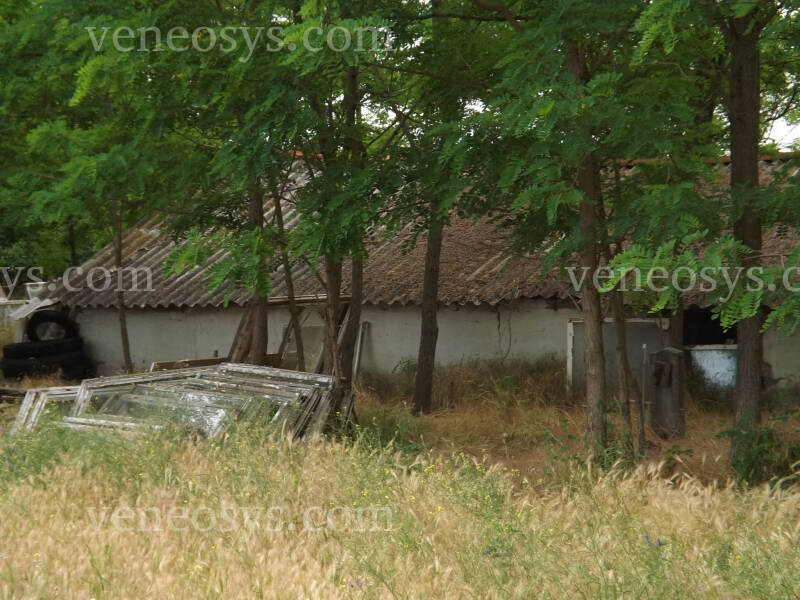 Kép 3