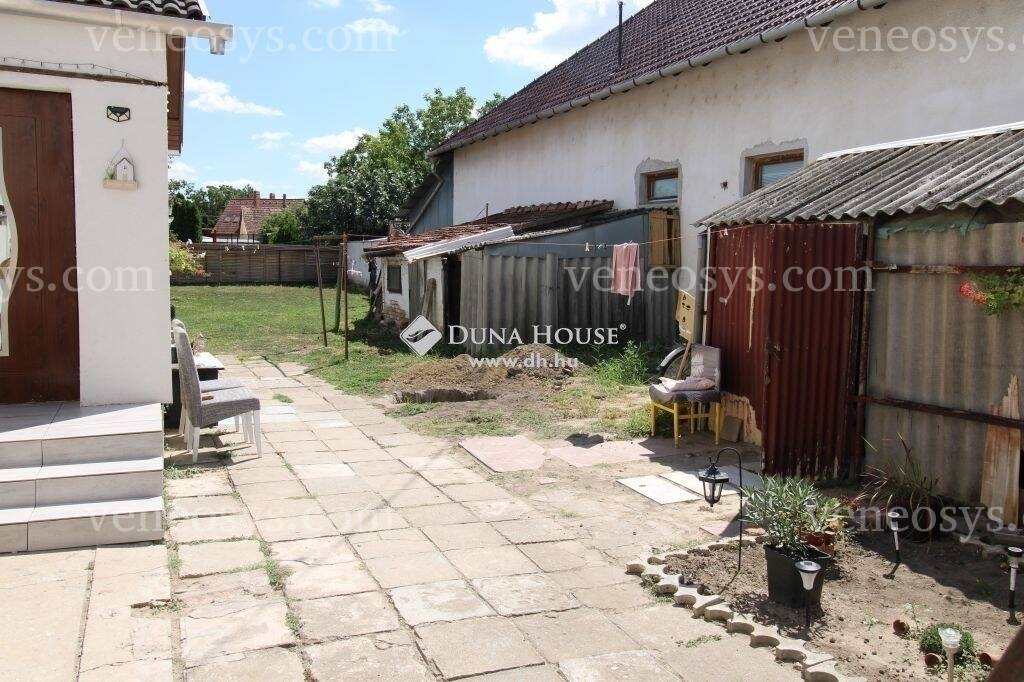 Kép 3