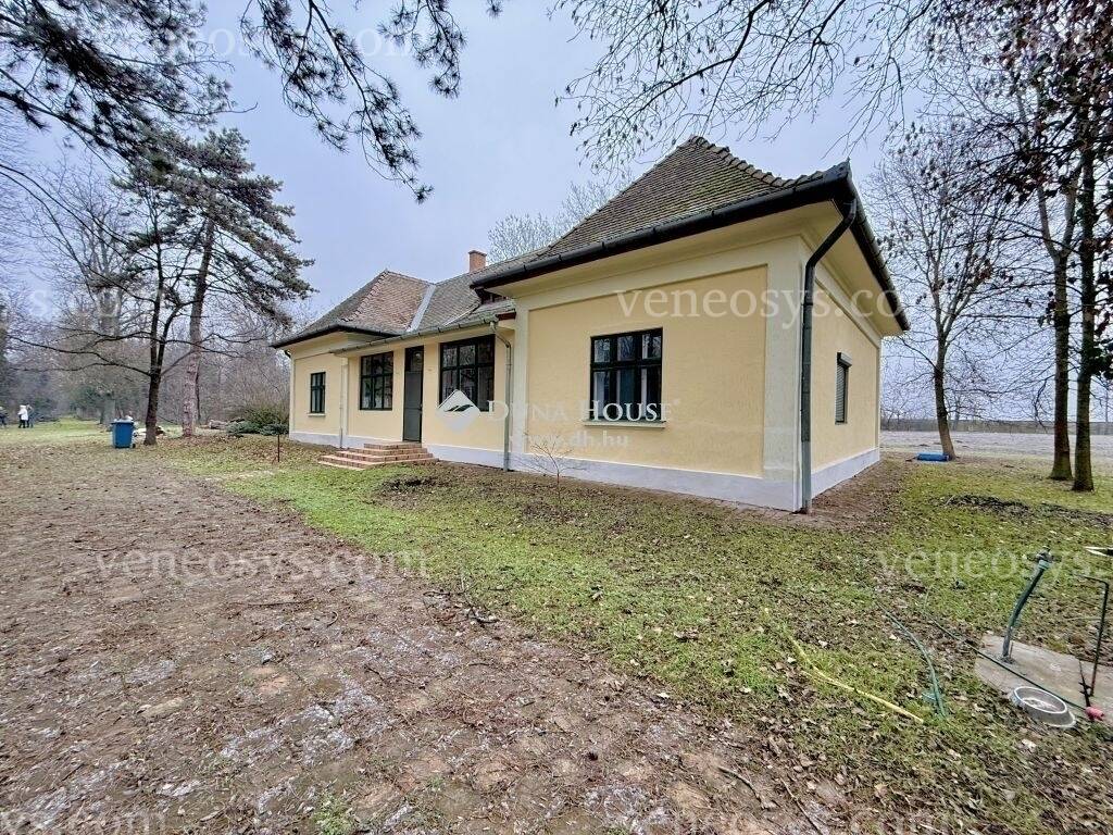 Kép 19