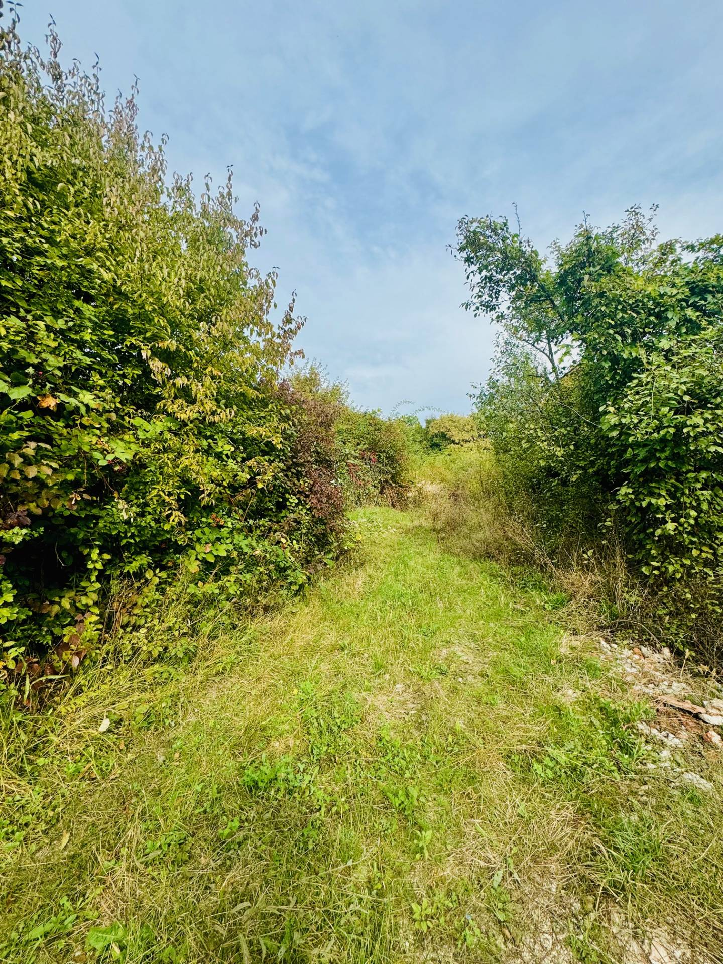 Kép 1