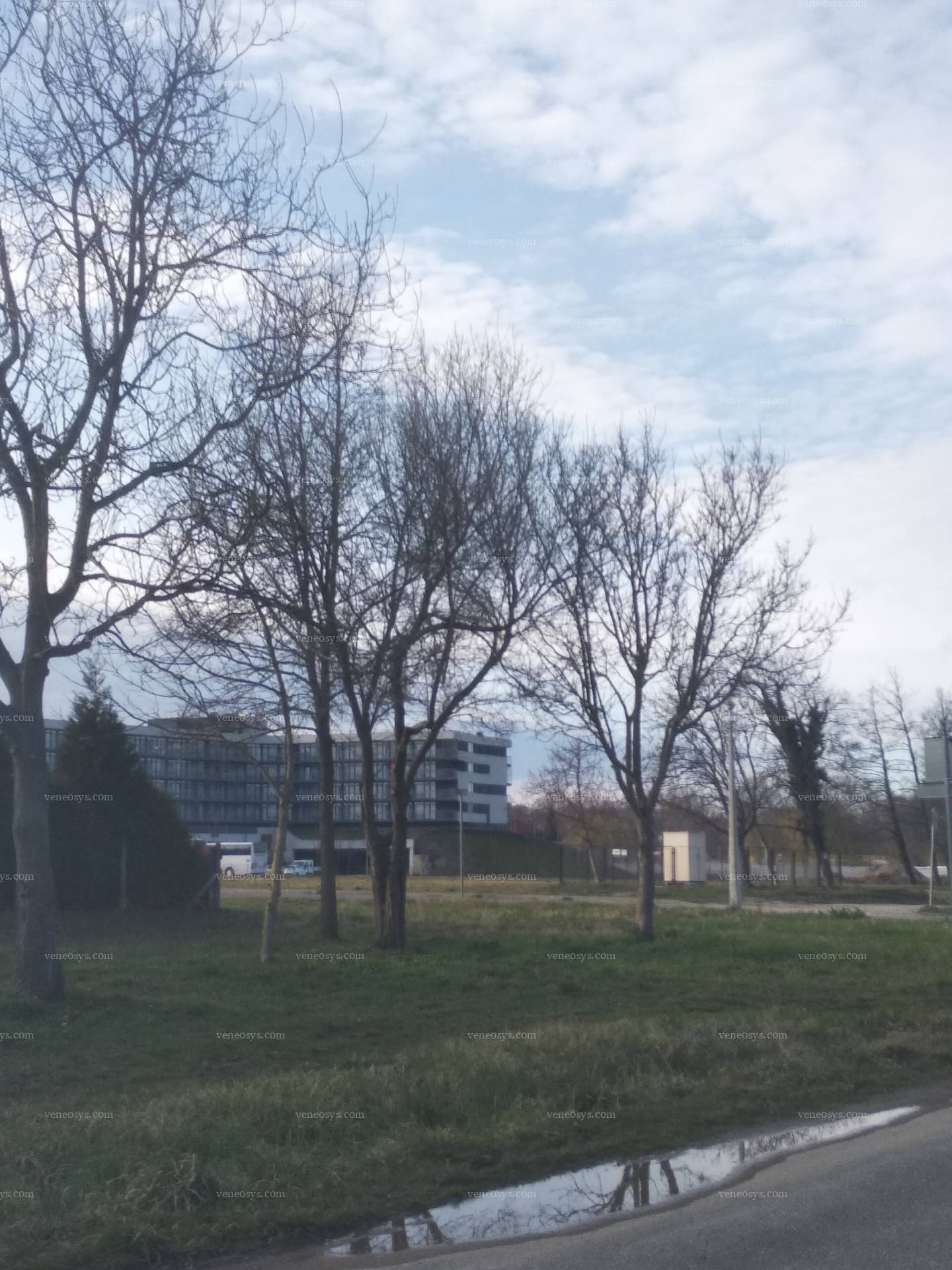 Kép 9