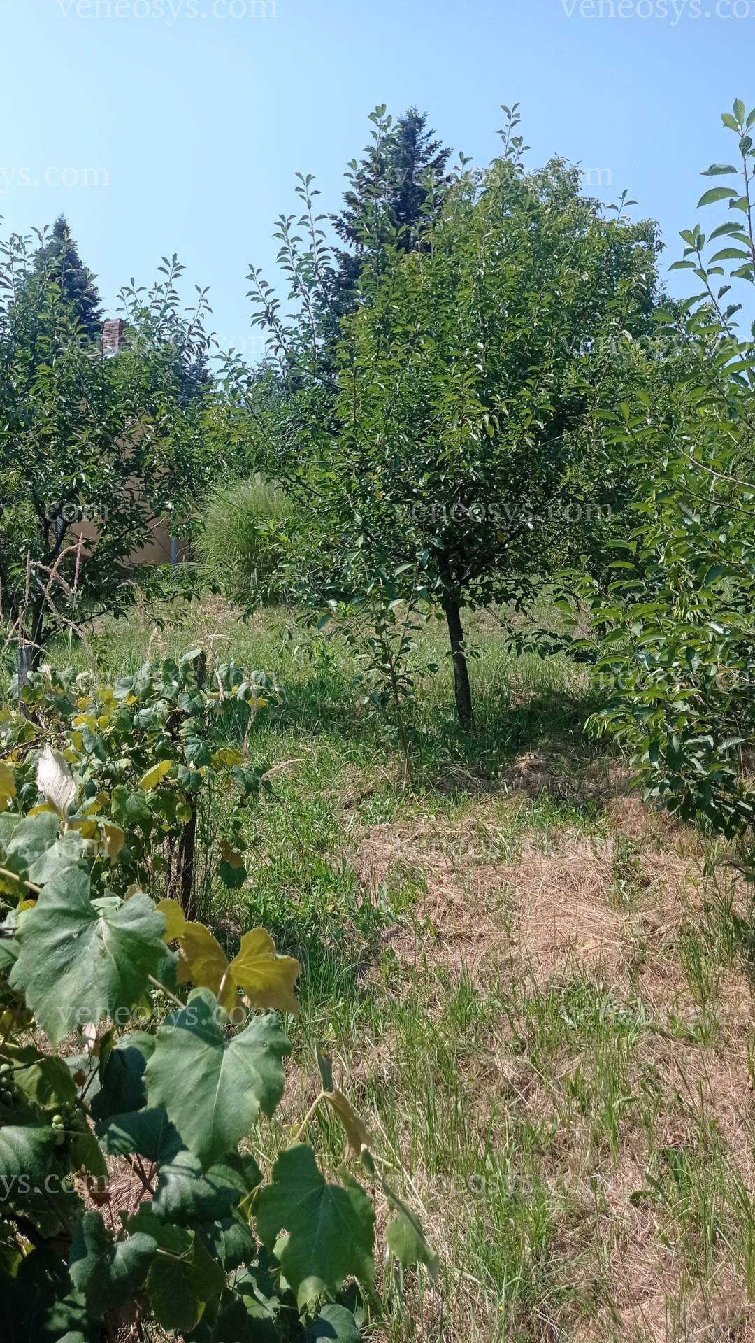 Kép 9