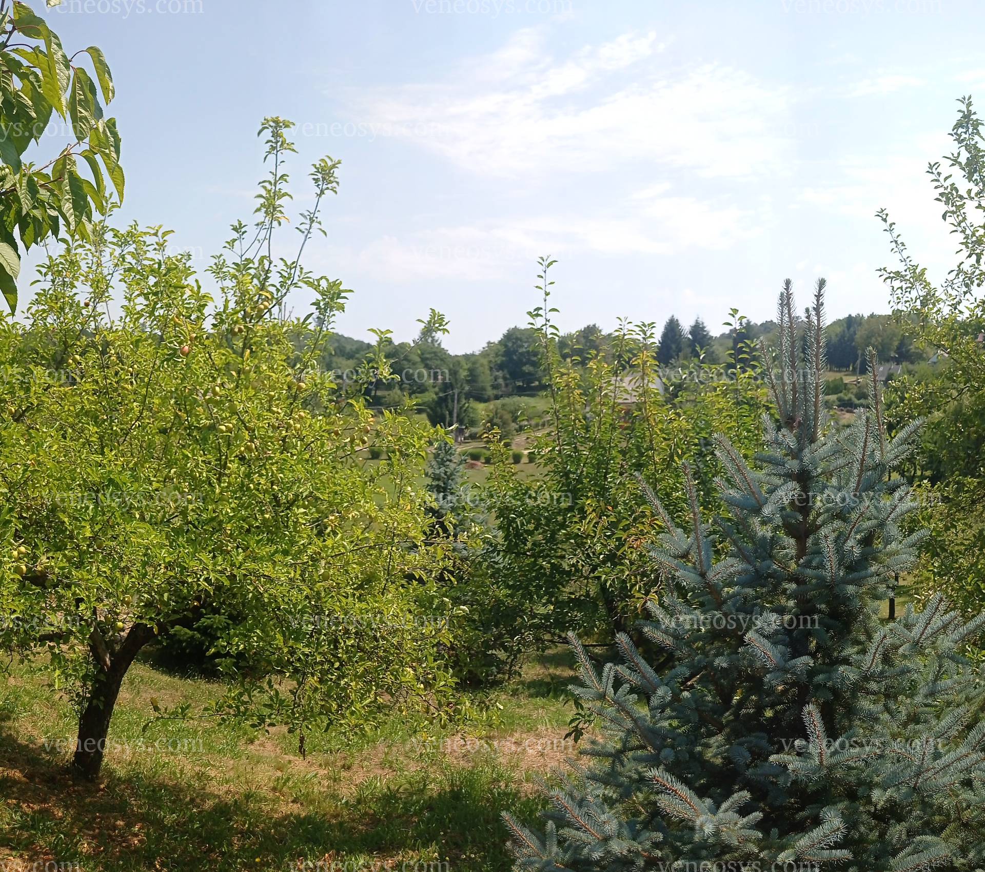 Kép 13