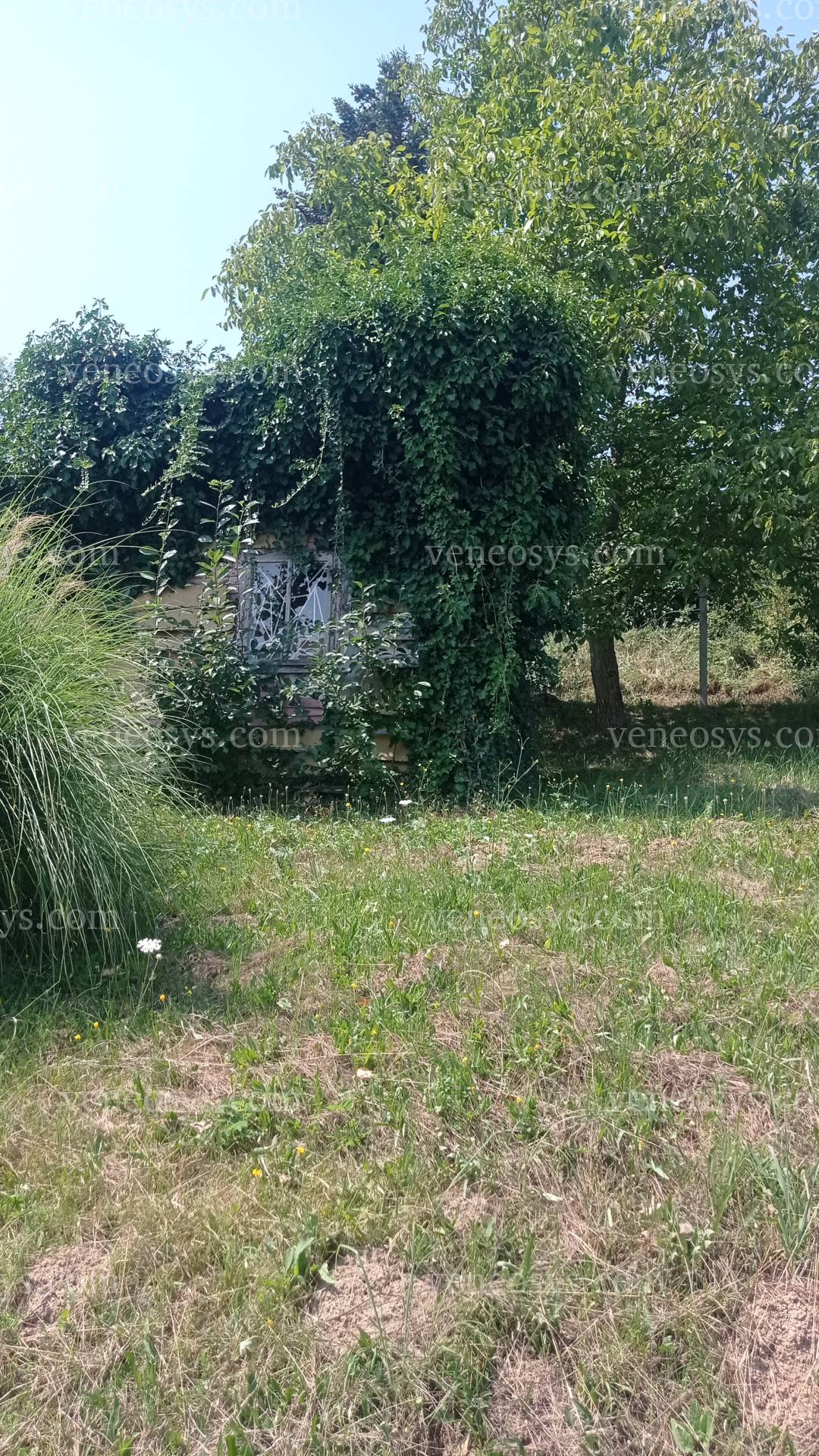 Kép 10