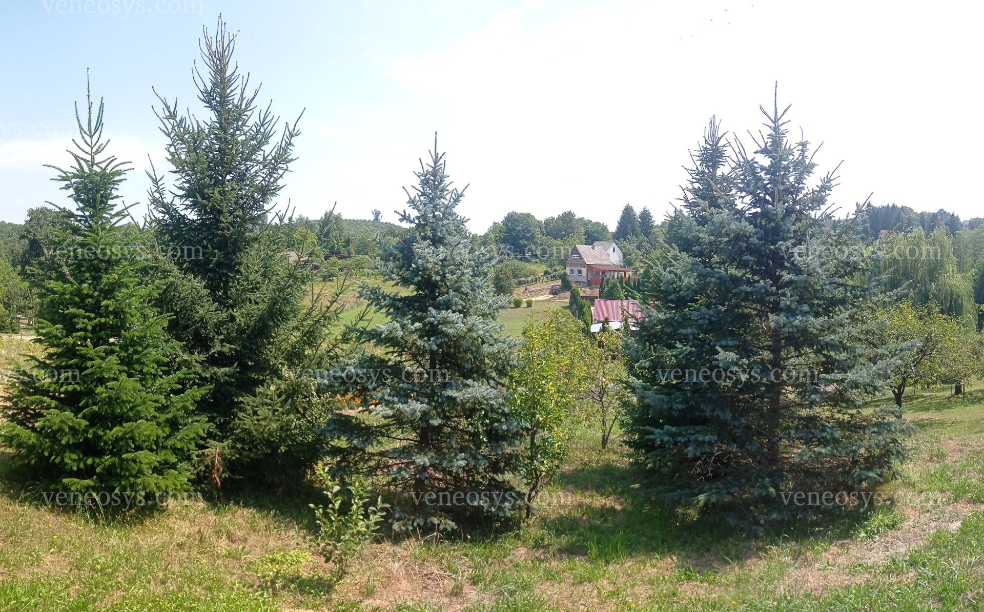 Kép 7