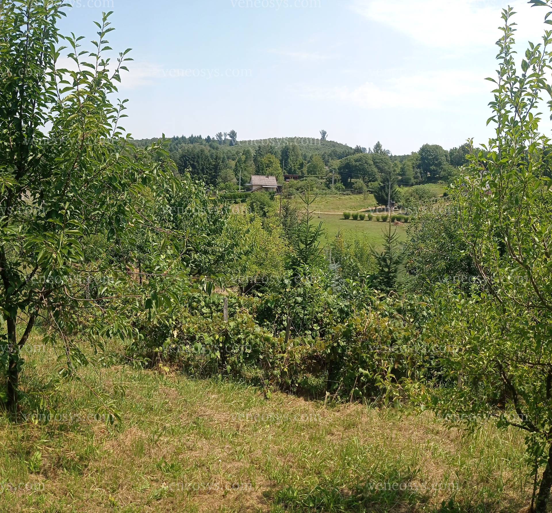 Kép 11