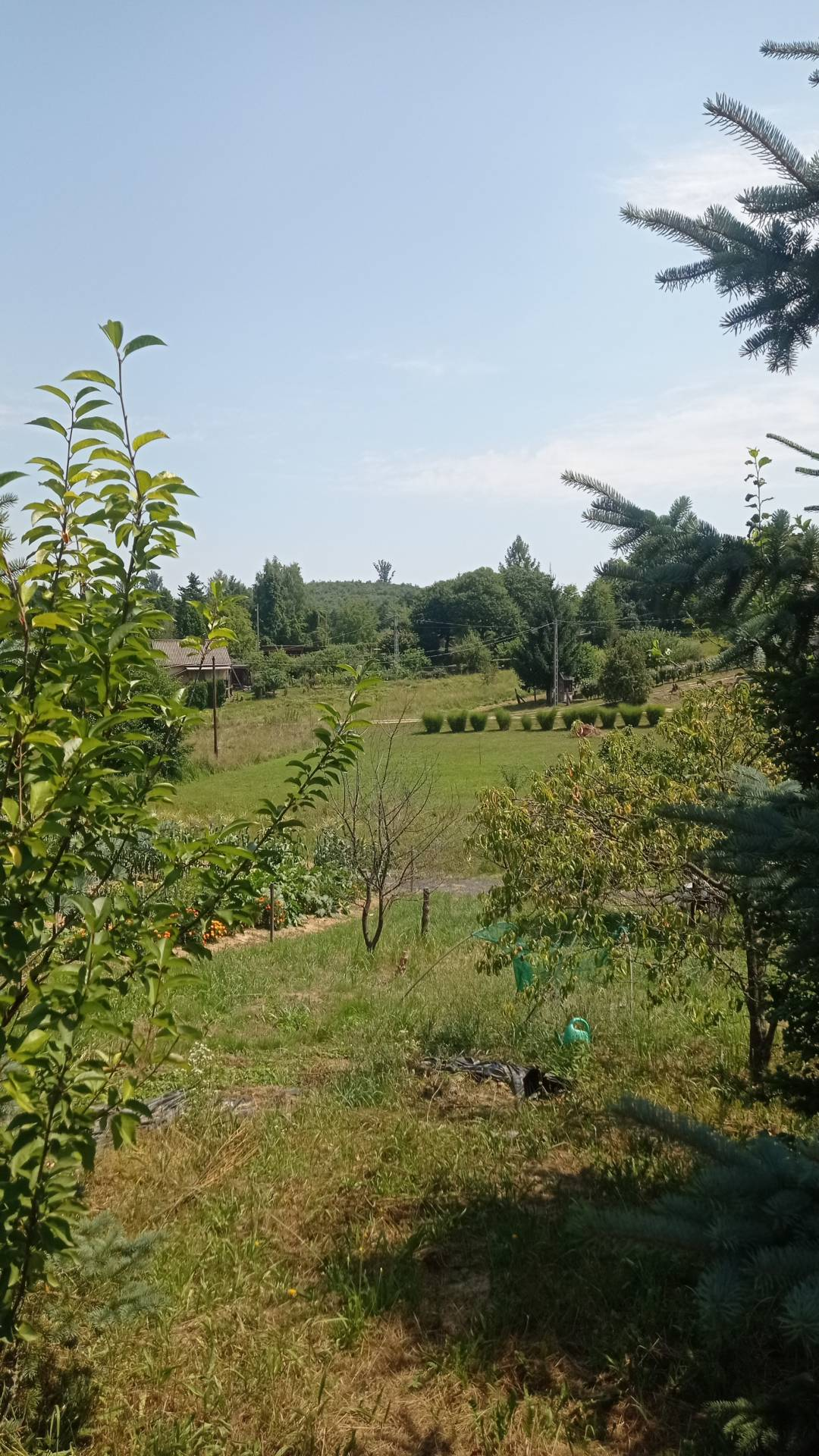 Nagykanizsa
