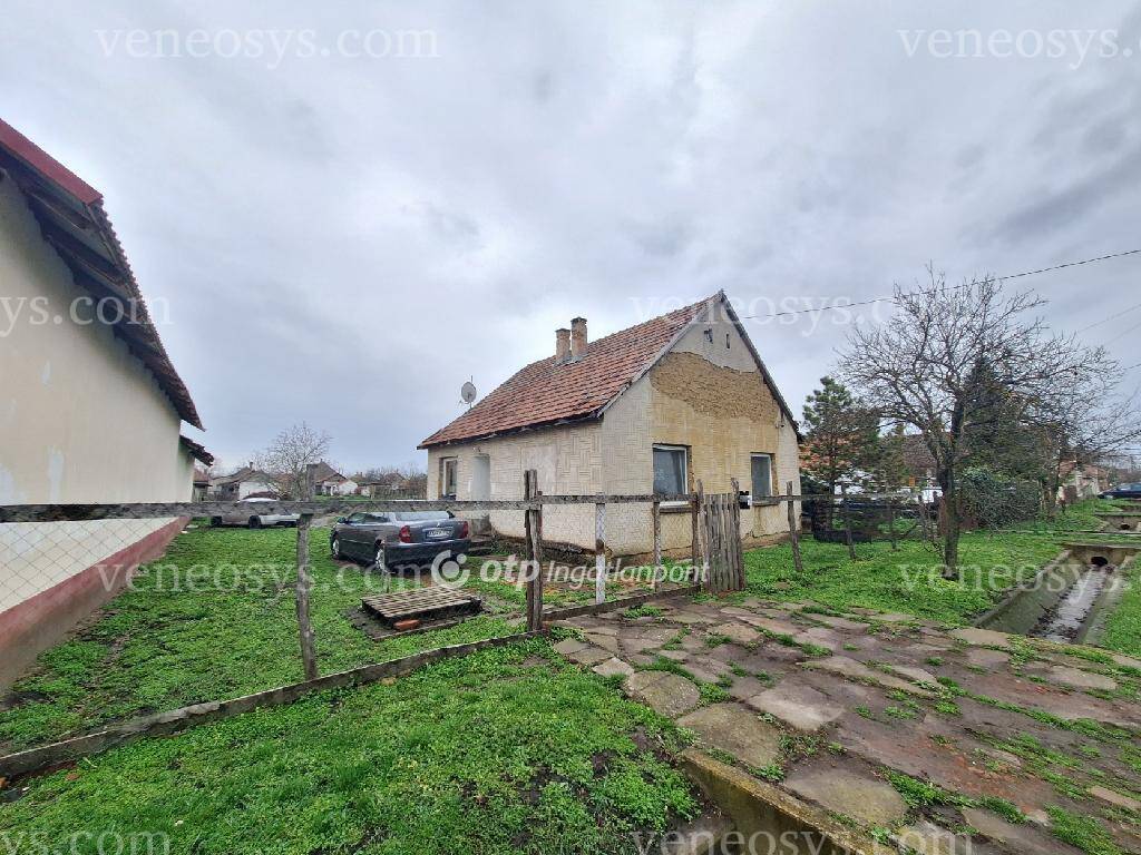 Kép 10