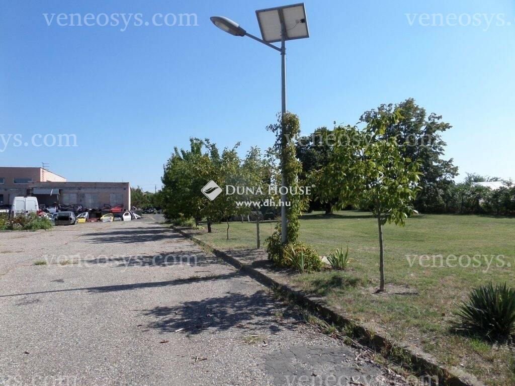 Kép 17