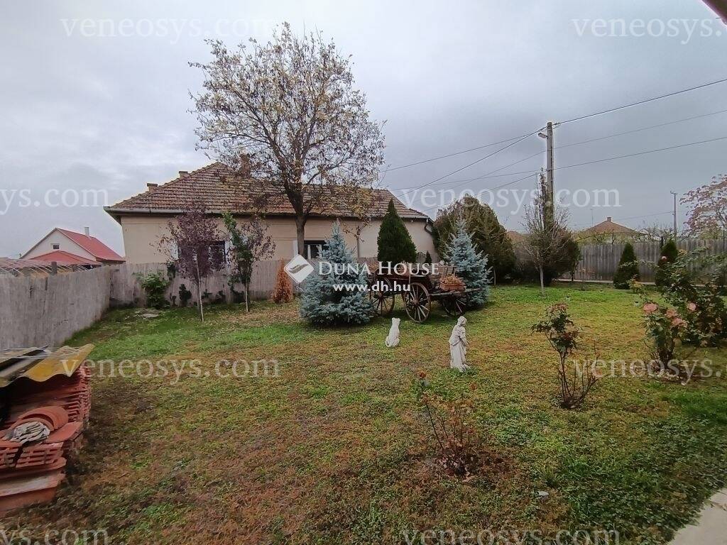 Kép 4