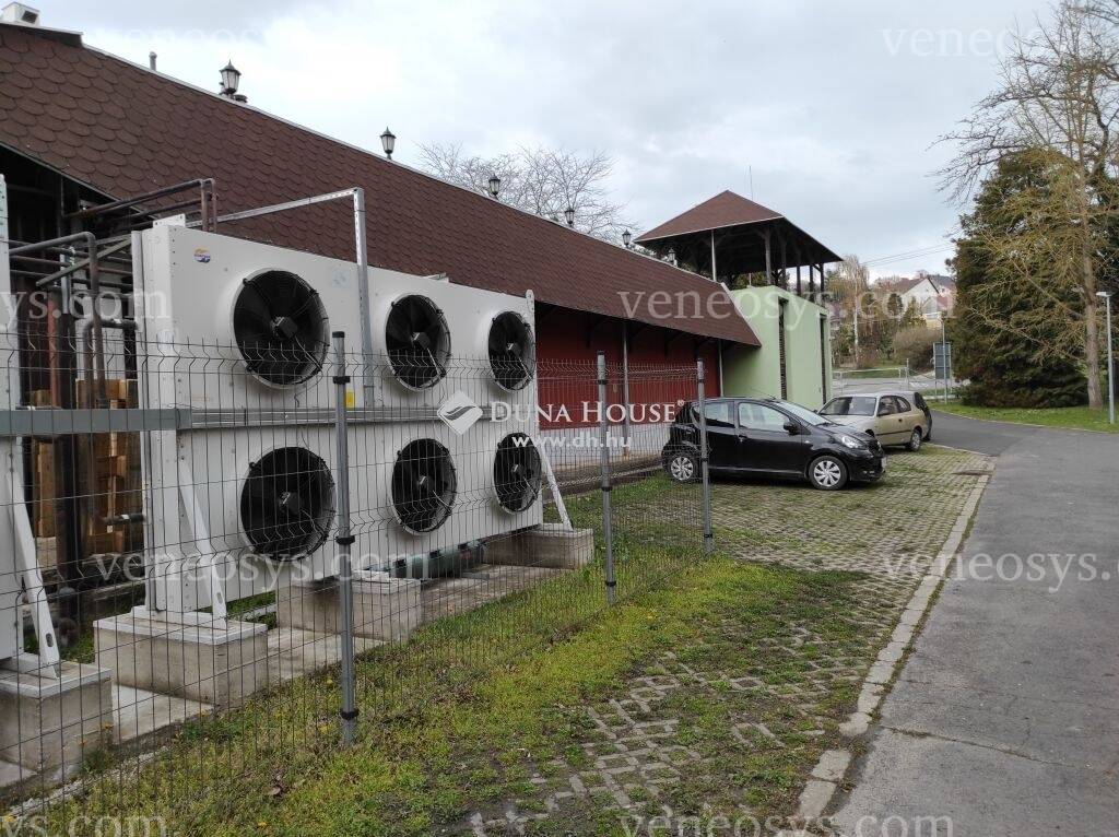 Kép 9