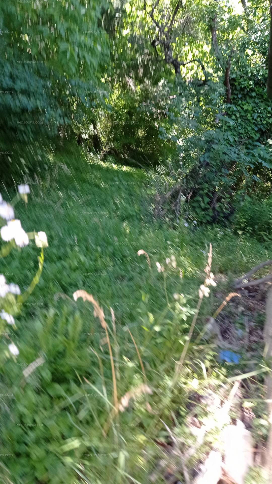Kép 5