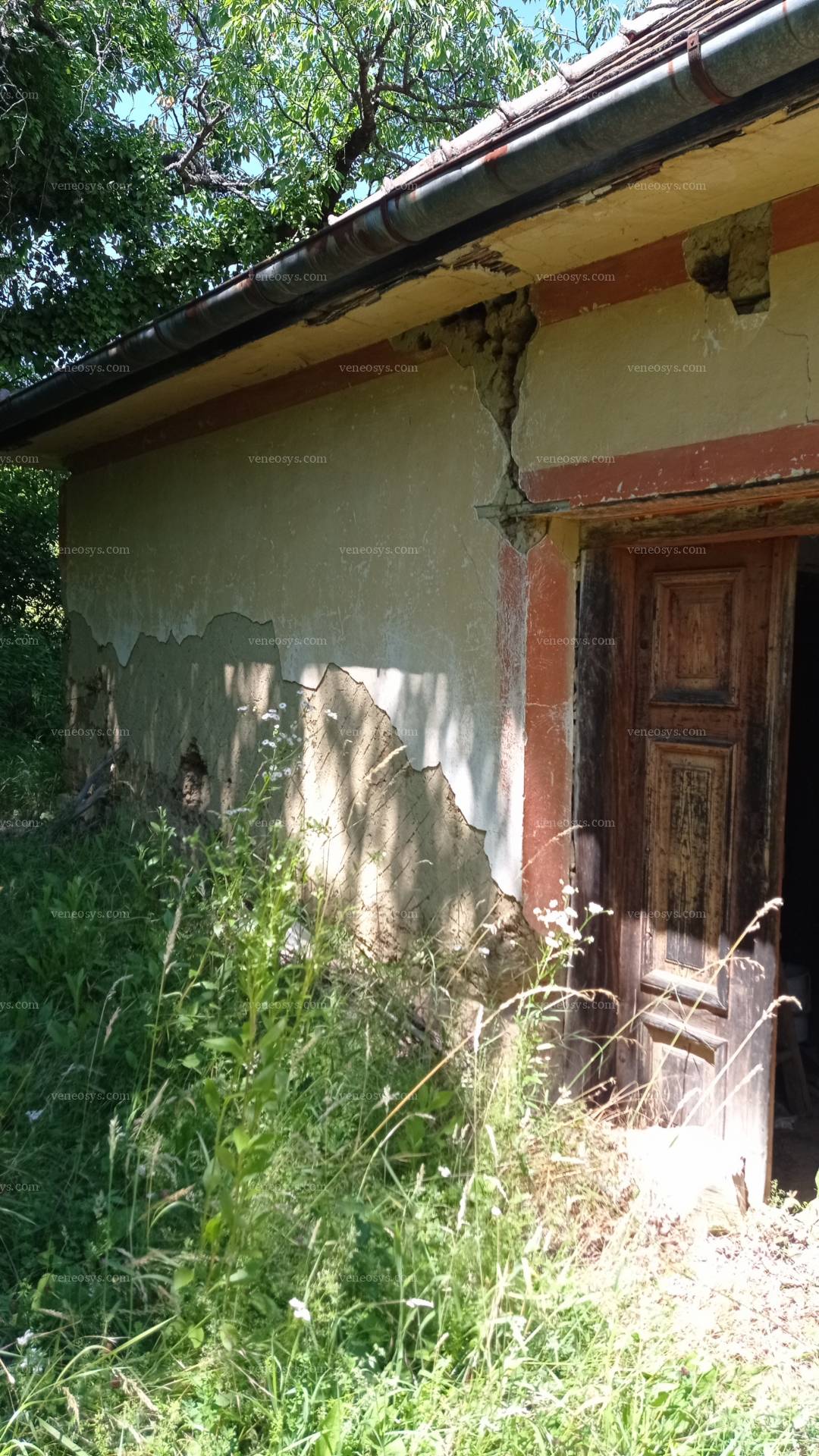 Kép 3