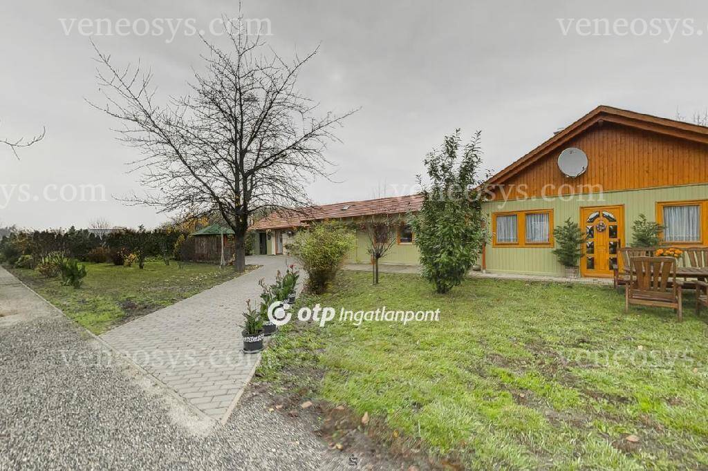 Kép 6