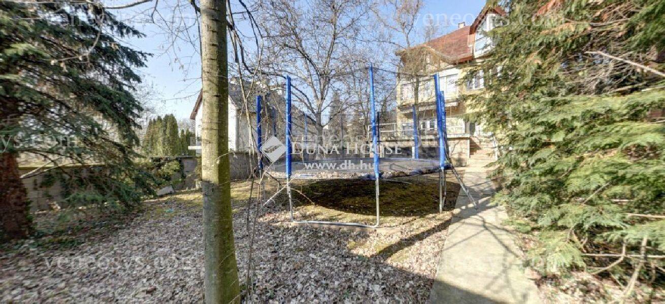 Kép 5
