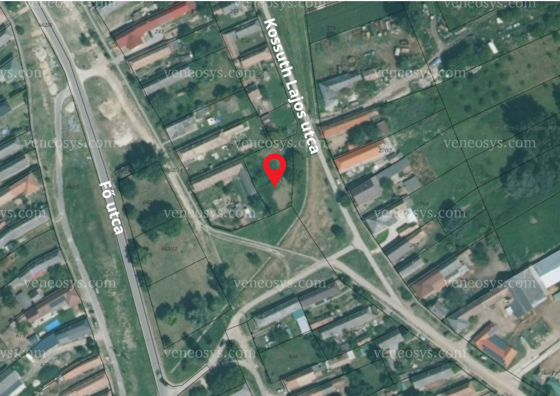 Kép 6