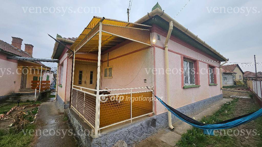 Kép 4