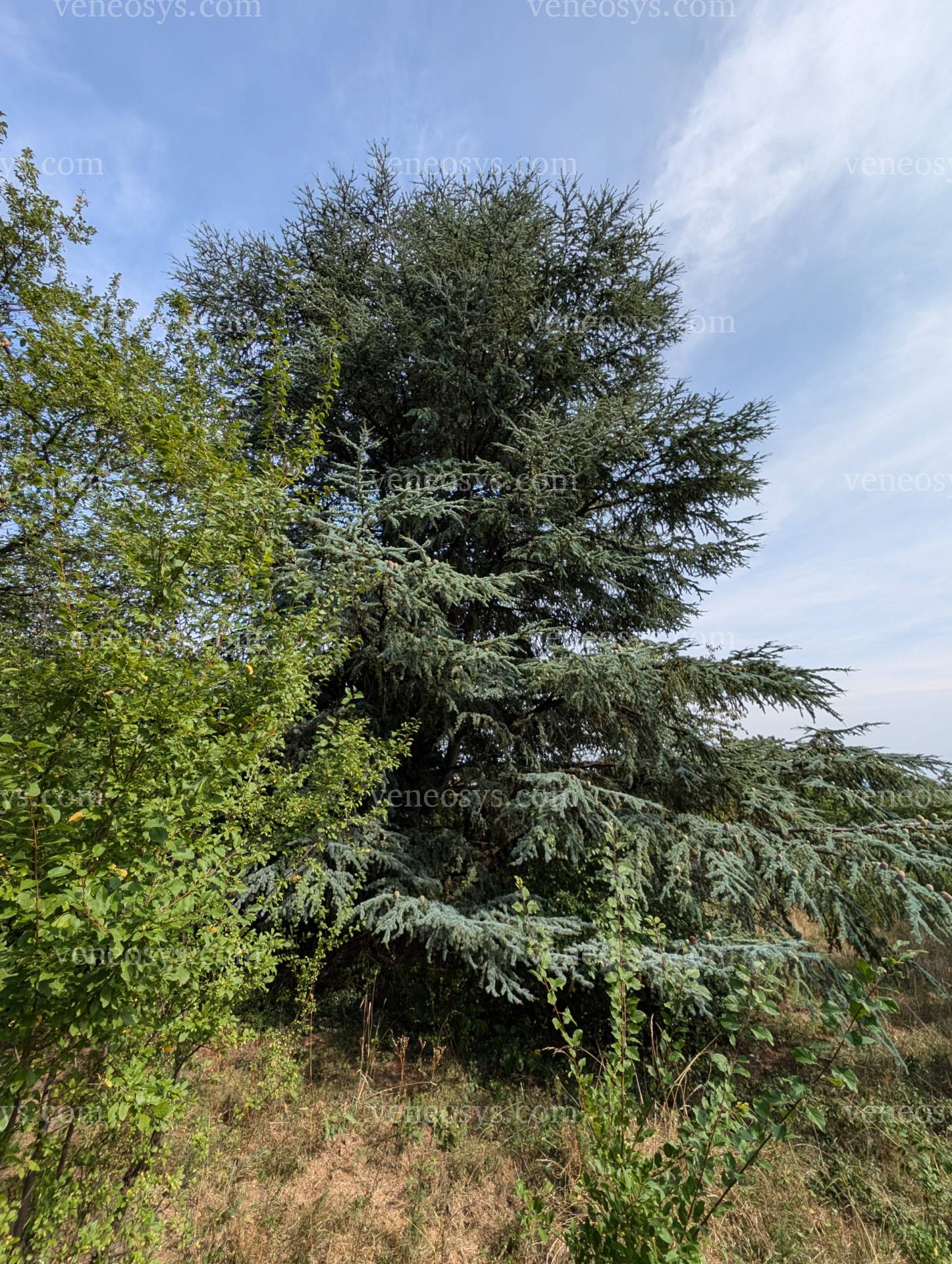 Kép 16