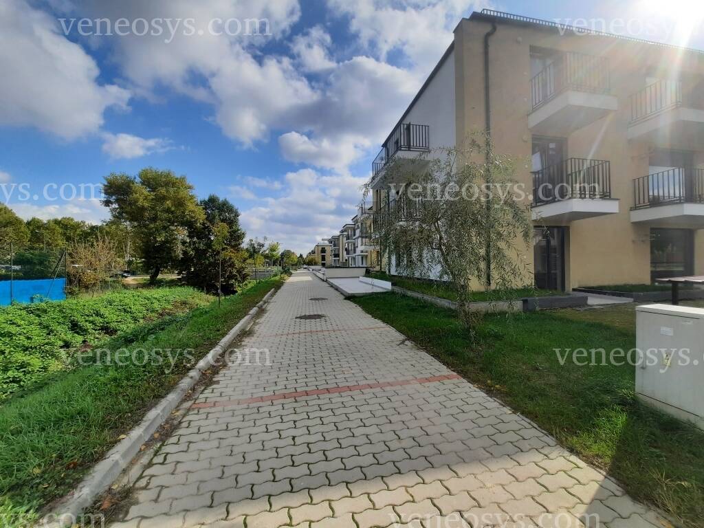 Kép 5