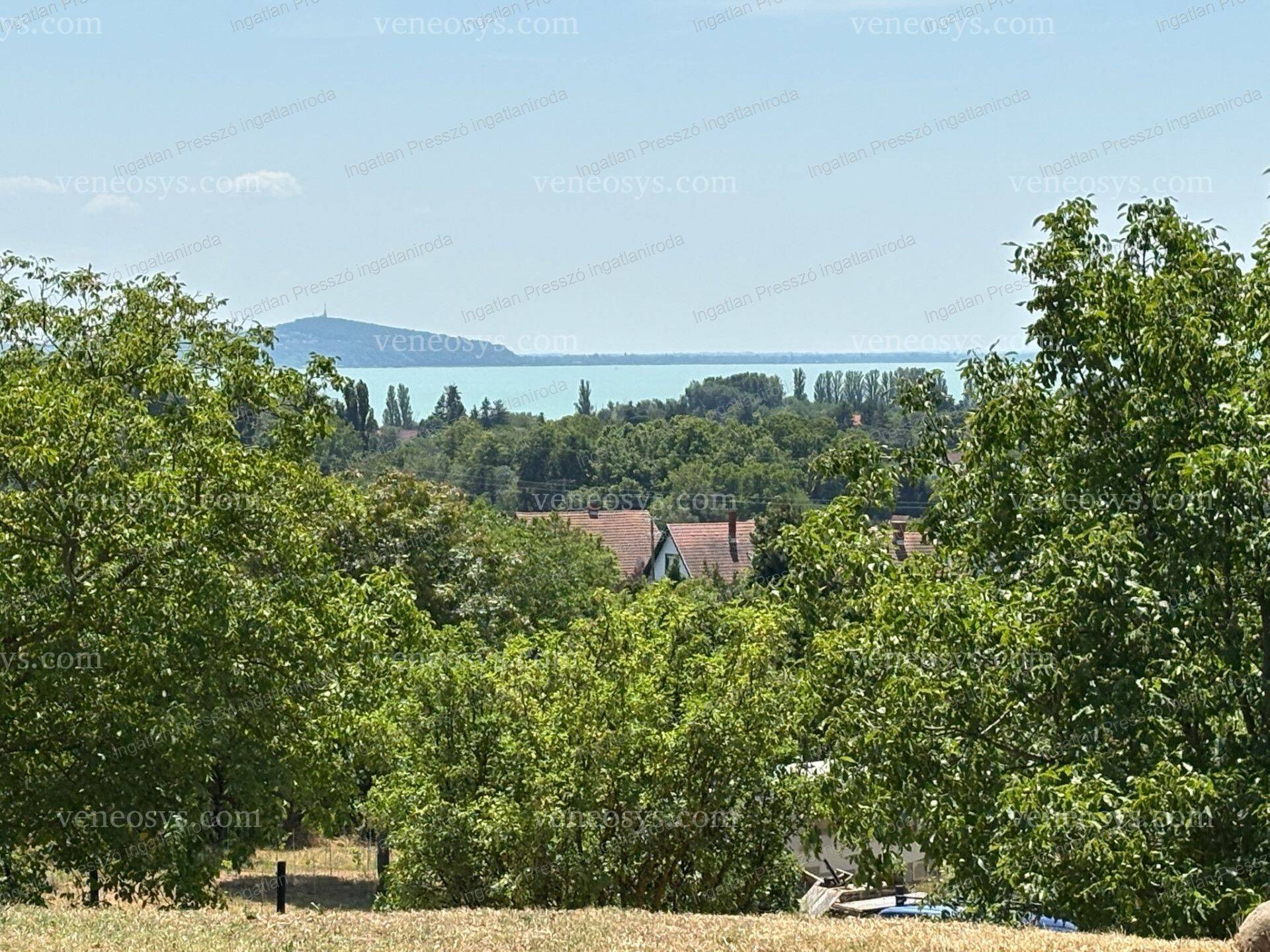 Kép 2