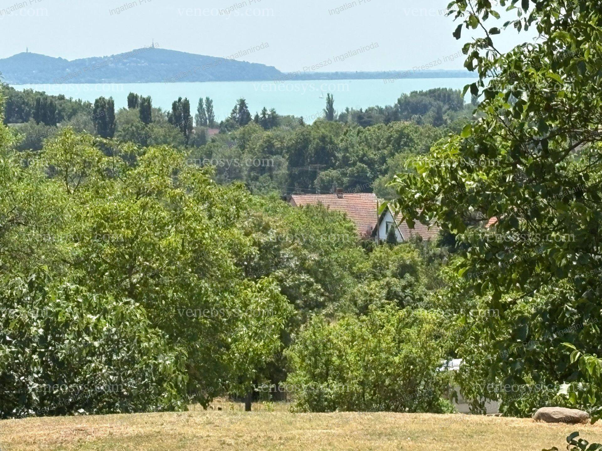 Kép 25