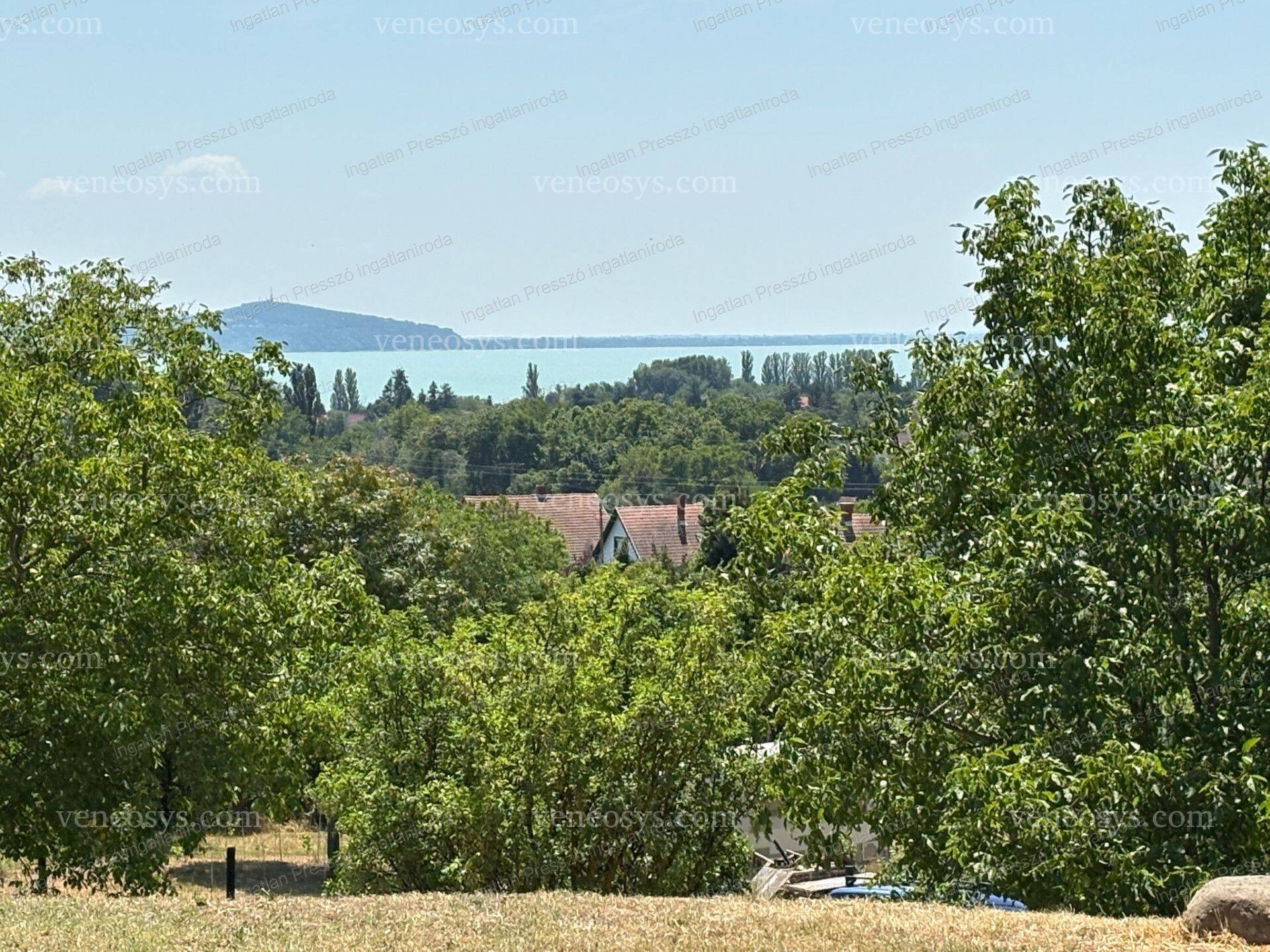 Kép 17