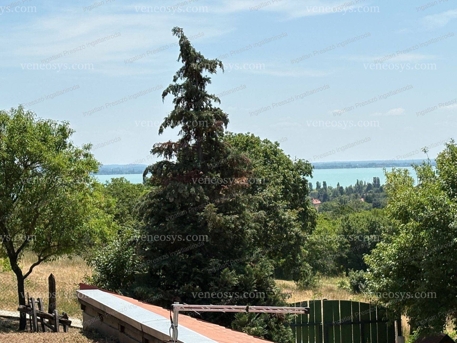 Kép 22